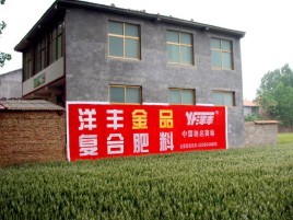 永丰如何让墙体广告展现最大化效果