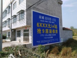 永丰墙体广告质量分析
