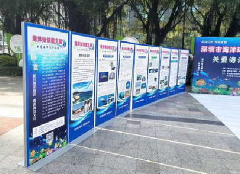 永丰KT板的种类和知识。